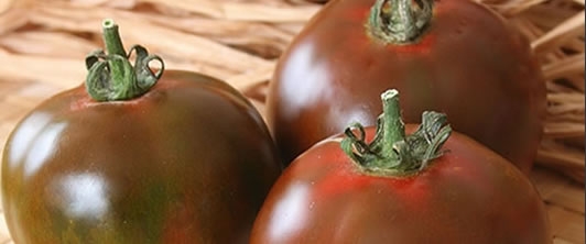 Nero di Crimea, il pomodoro 