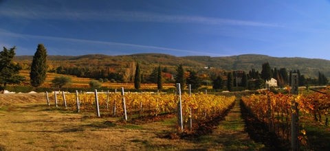 Anteprima Amarone 2012 quando l'annata sposa la tendenza