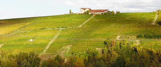 Il nuovo portale di Cascina Gomba Boschetti nel Barolo