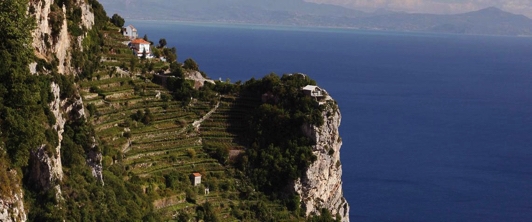 I vini da Terre Estreme a Mogliano Veneto (TV)