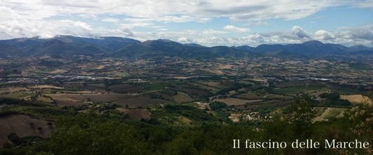 50 anni DOC per il Rosso Conero e il Verdicchio di Matelica