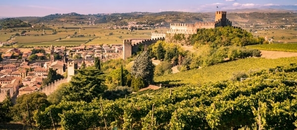 Soave: una grande storia per un grande vino