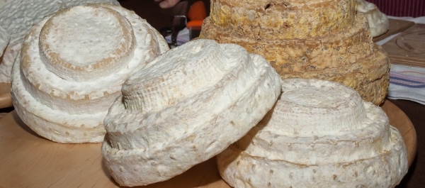 Formaggio Montébore, emblema delle tradizioni di un intero territorio