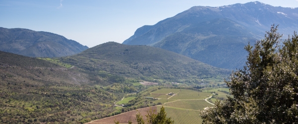 Viaggio in Abruzzo alla scoperta del Trebbiano Abruzzese