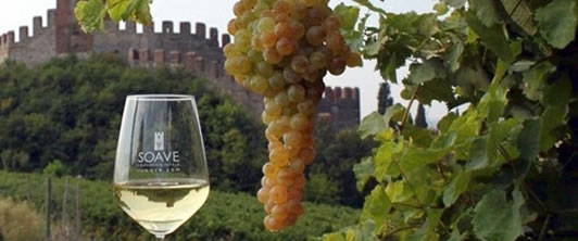 Parliamo bene del Soave!