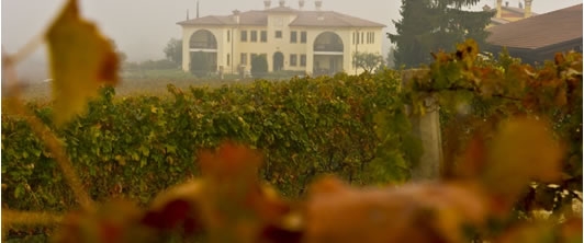 Ecco la nuova cantina di Monte del Fra a Custoza.