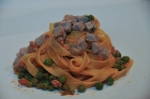 Gallery | Acino Parlante
